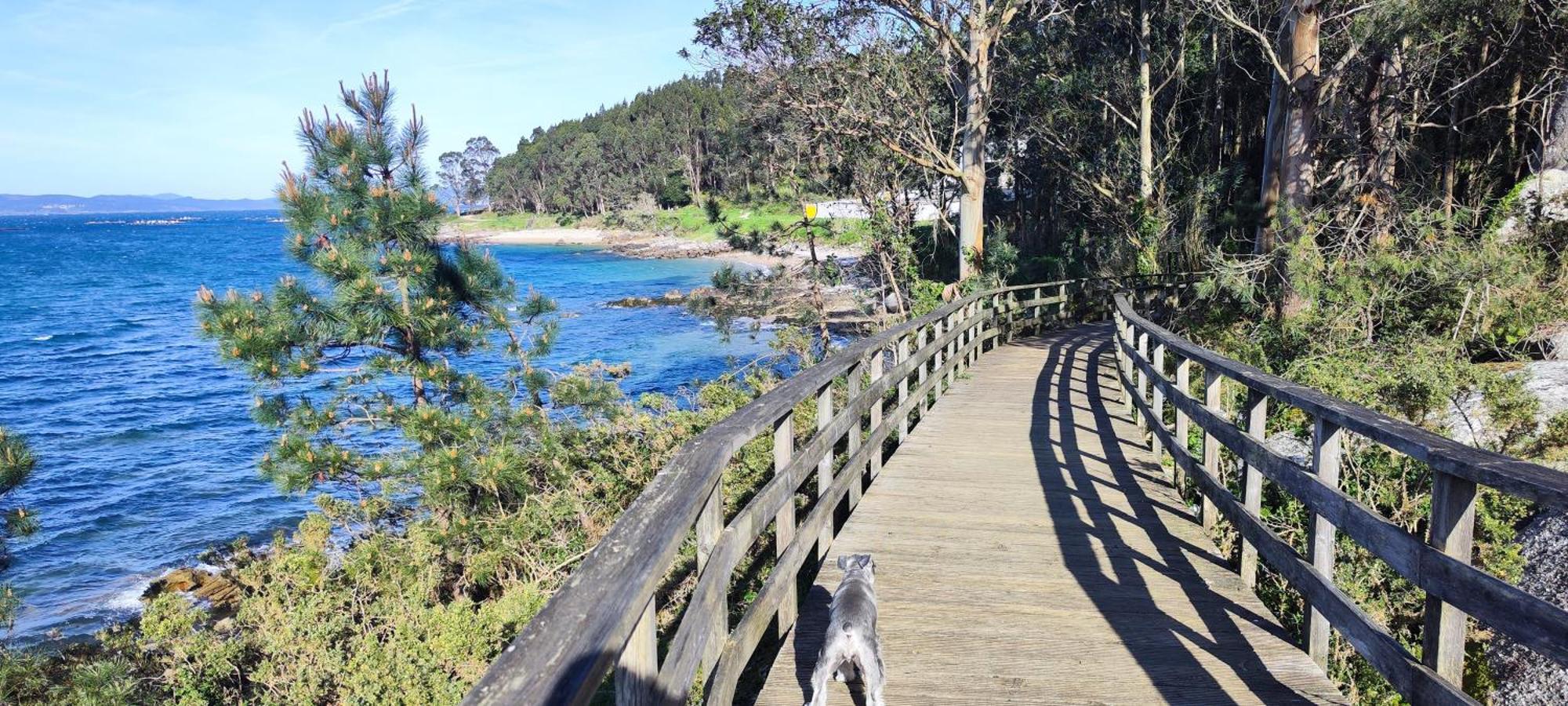 Apartamento El Rincon De Elia, Haz Realidad Tu Sueno De Vivir Con Vistas Al Mar Villanueva De Arosa Esterno foto